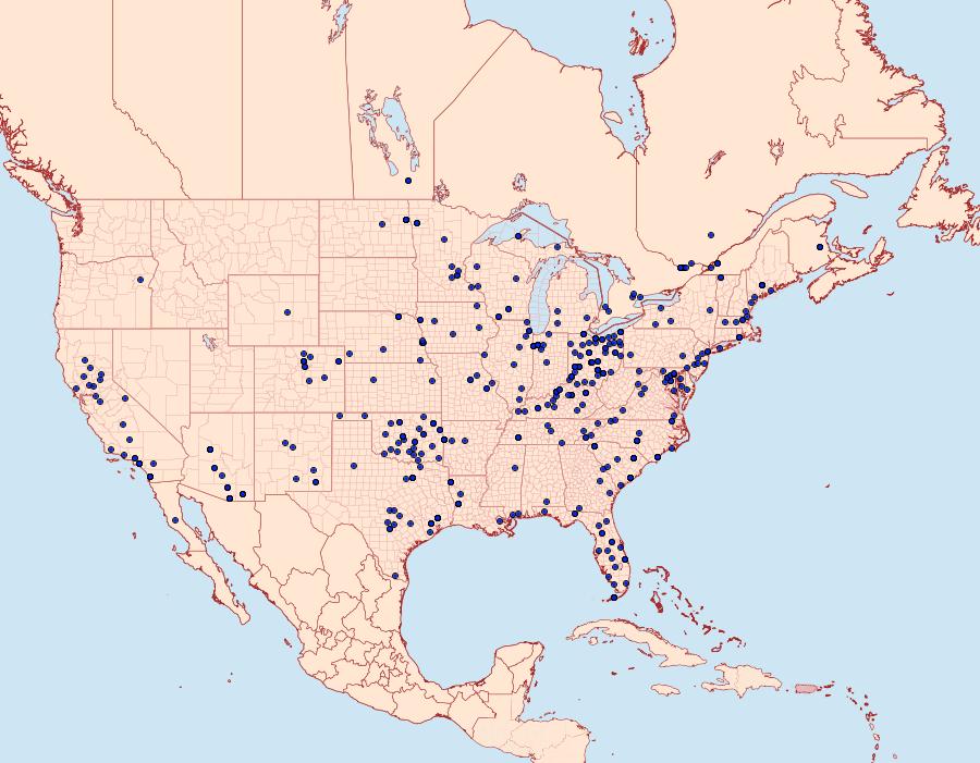 Distribution Data for Ponometia candefacta