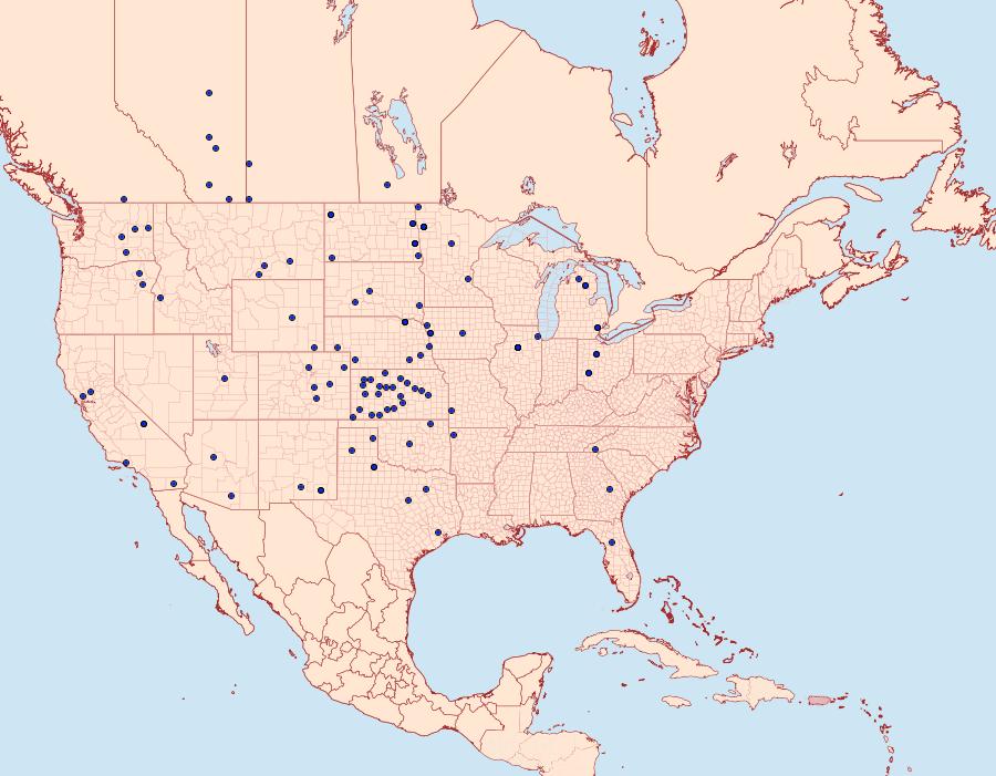 Distribution Data for Ponometia tortricina