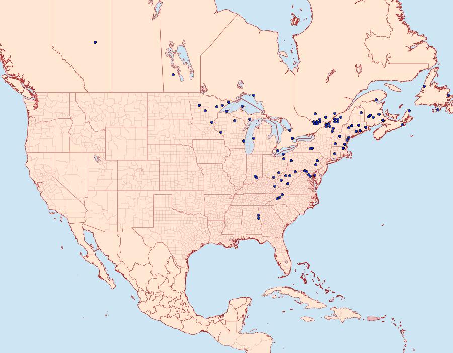 Distribution Data for Bibarrambla allenella