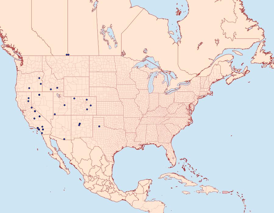 Distribution Data for Ponometia sutrix