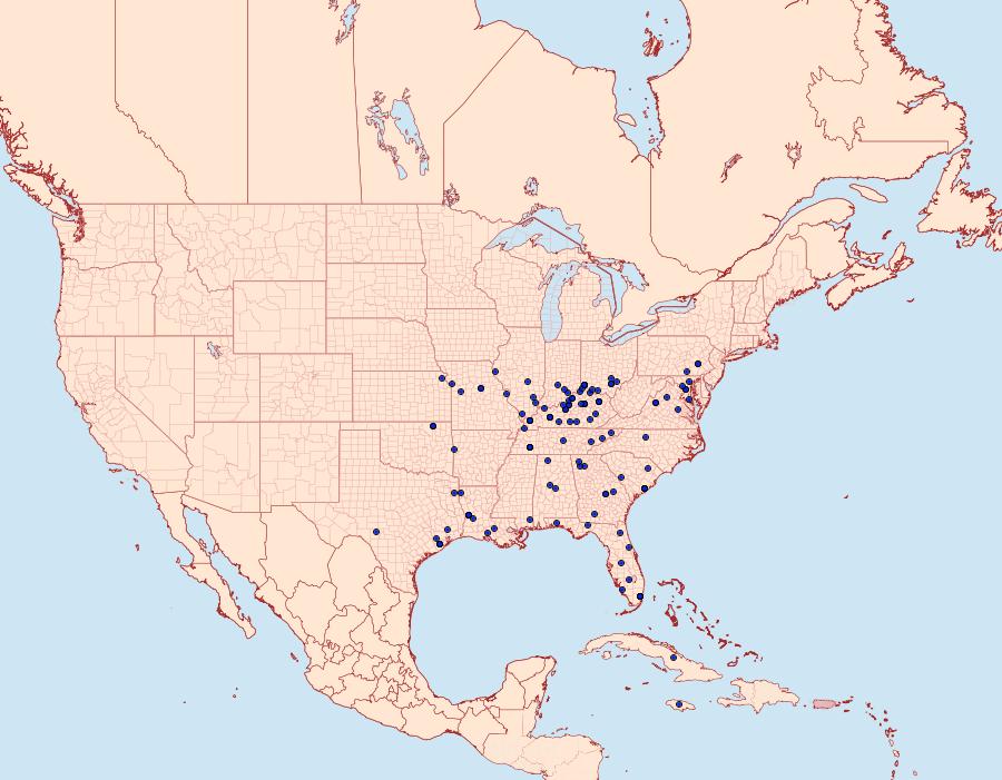 Distribution Data for Spragueia apicalis