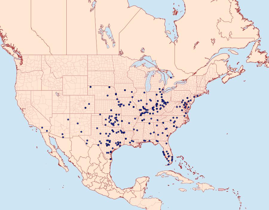 Distribution Data for Tarache aprica