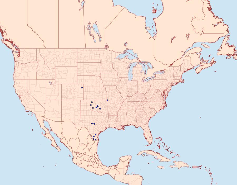 Distribution Data for Tarache lactipennis