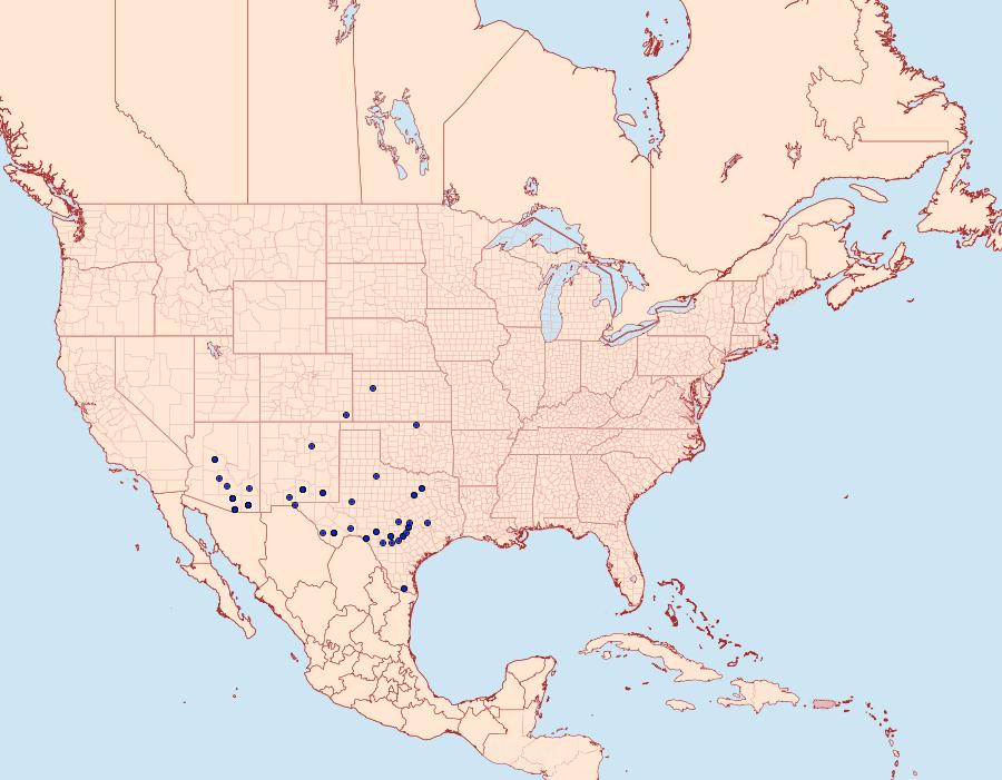 Distribution Data for Tarache quadriplaga