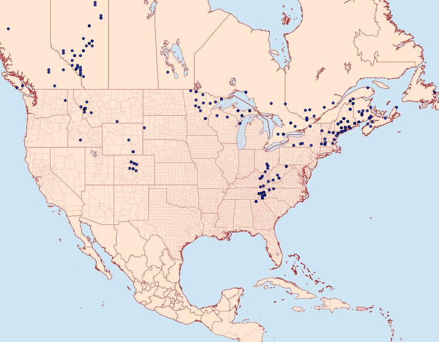 Distribution Data for Panthea acronyctoides