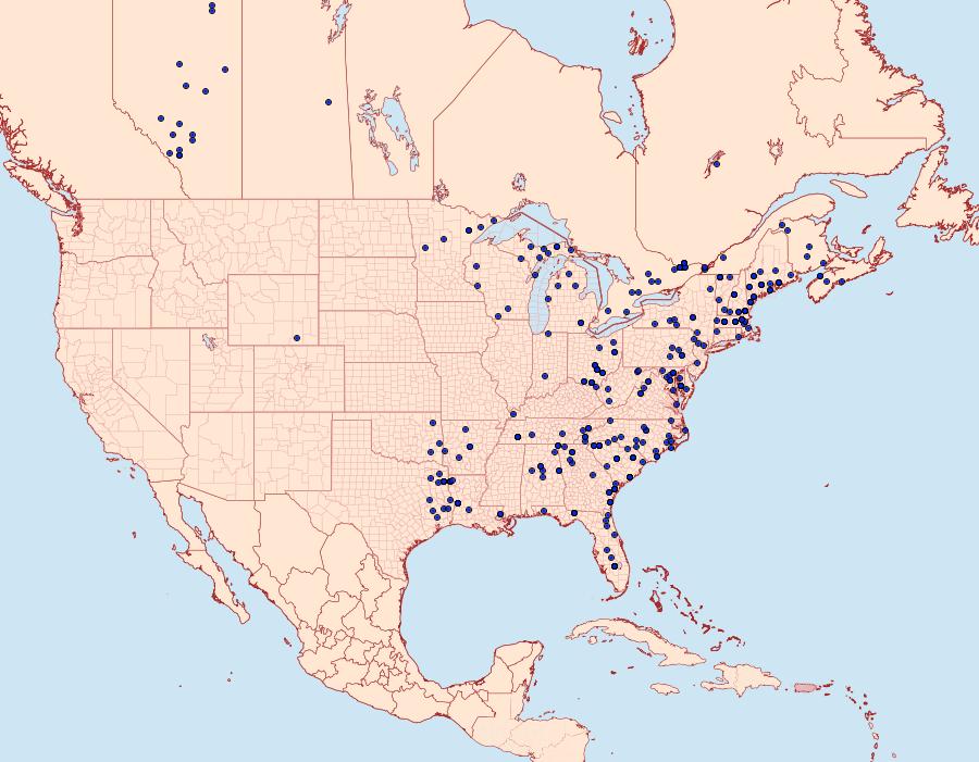 Distribution Data for Panthea furcilla