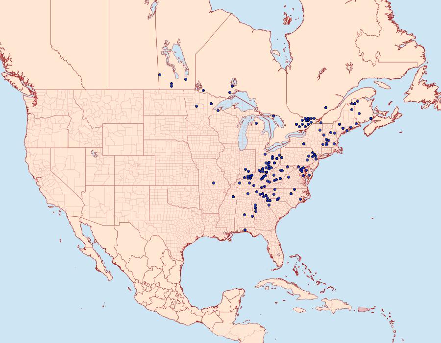 Distribution Data for Colocasia flavicornis