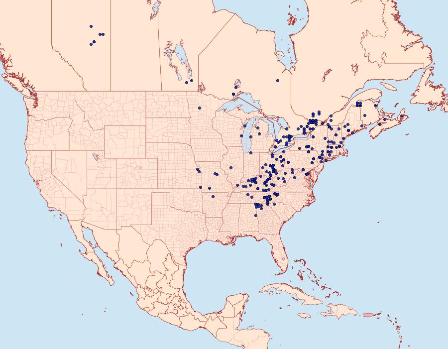 Distribution Data for Colocasia propinquilinea