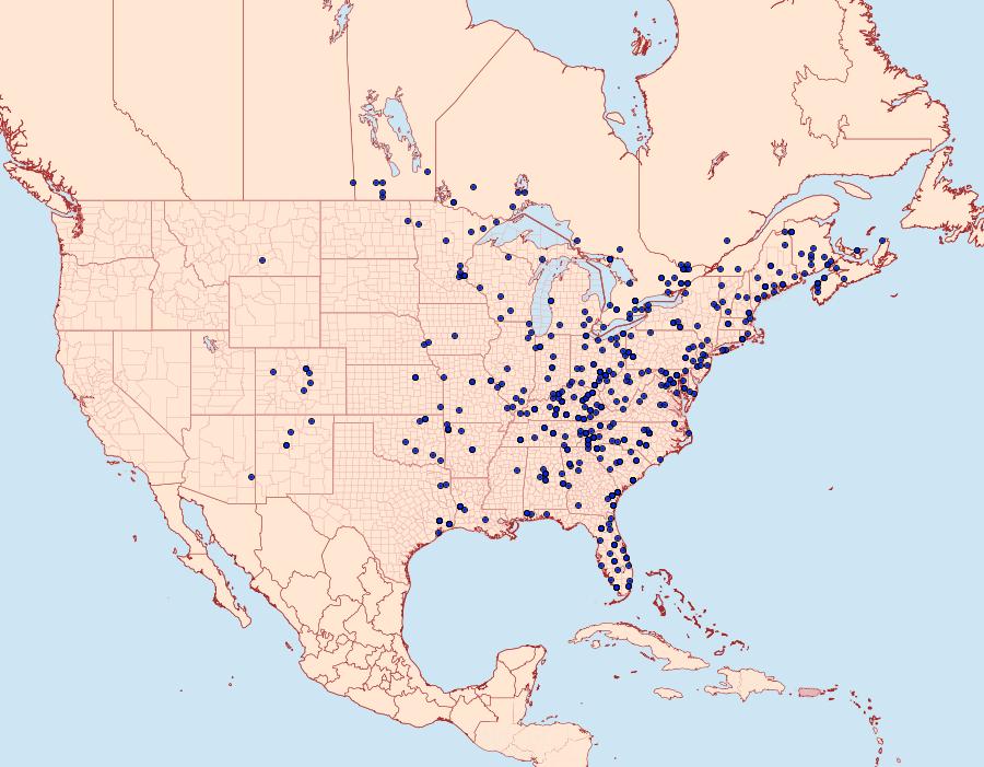 Distribution Data for Charadra deridens