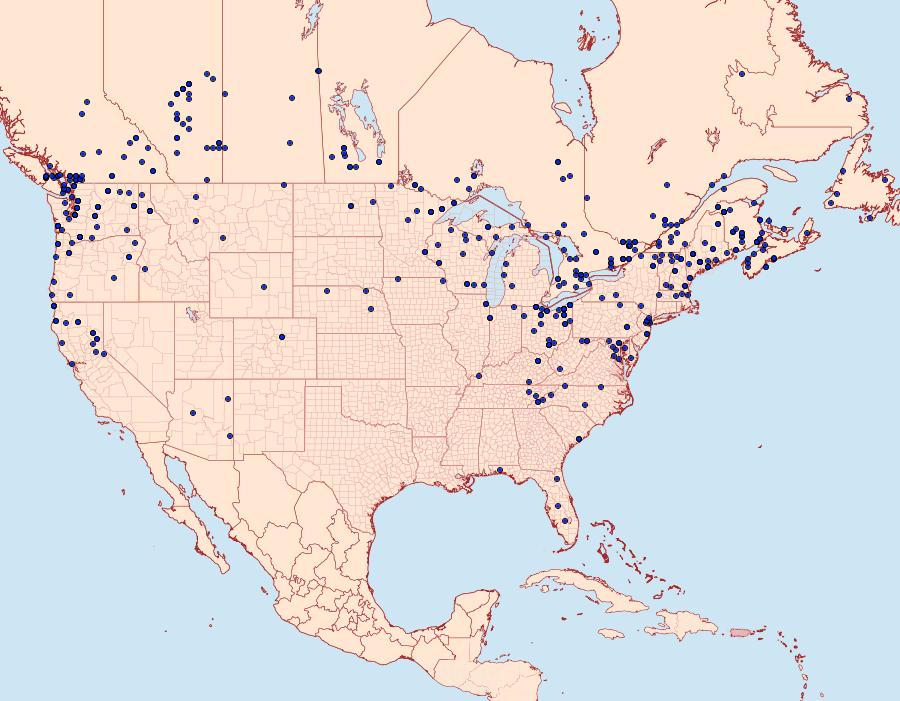 Distribution Data for Acronicta insita