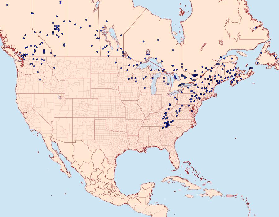 Distribution Data for Acronicta innotata