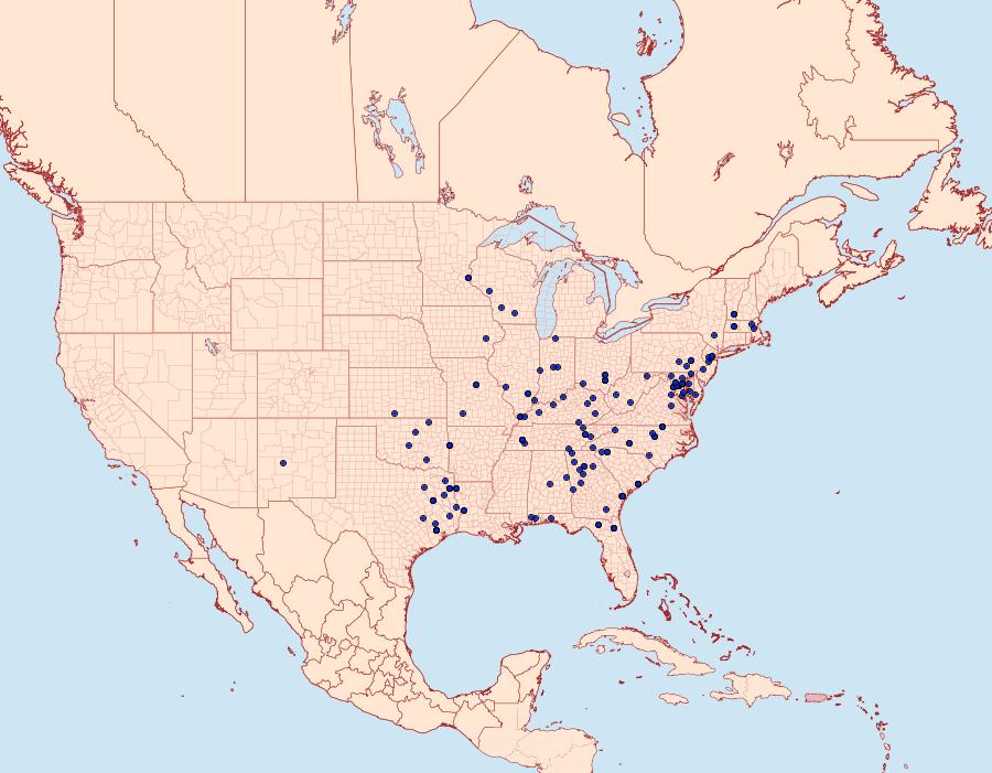 Distribution Data for Acronicta betulae