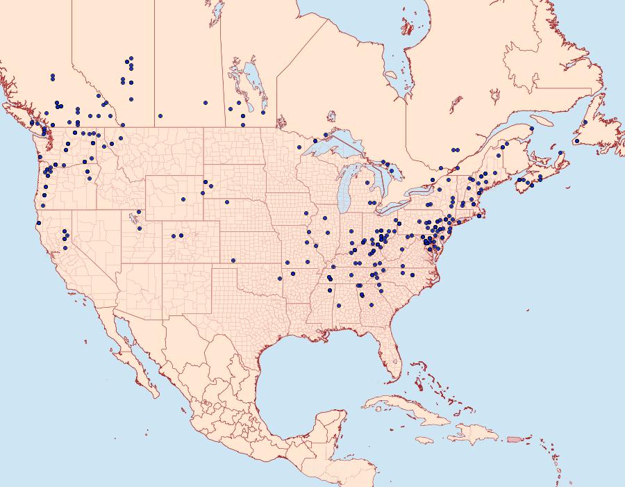 Distribution Data for Acronicta radcliffei