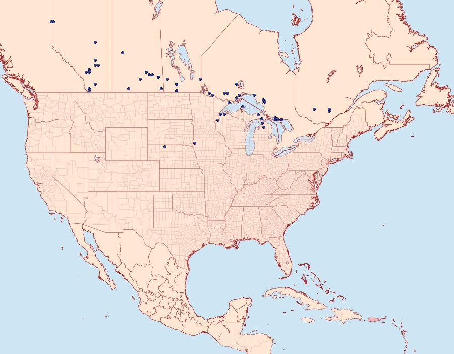 Distribution Data for Acronicta quadrata