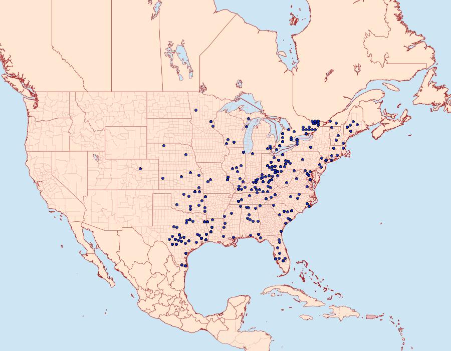 Distribution Data for Acronicta vinnula