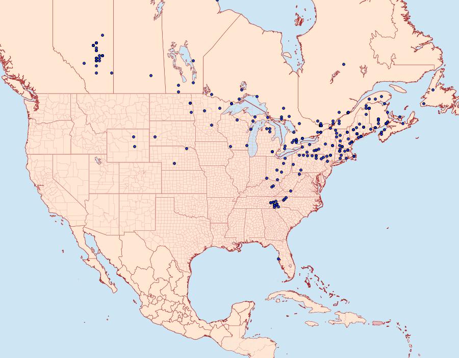 Distribution Data for Acronicta superans