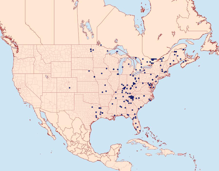 Distribution Data for Acronicta laetifica