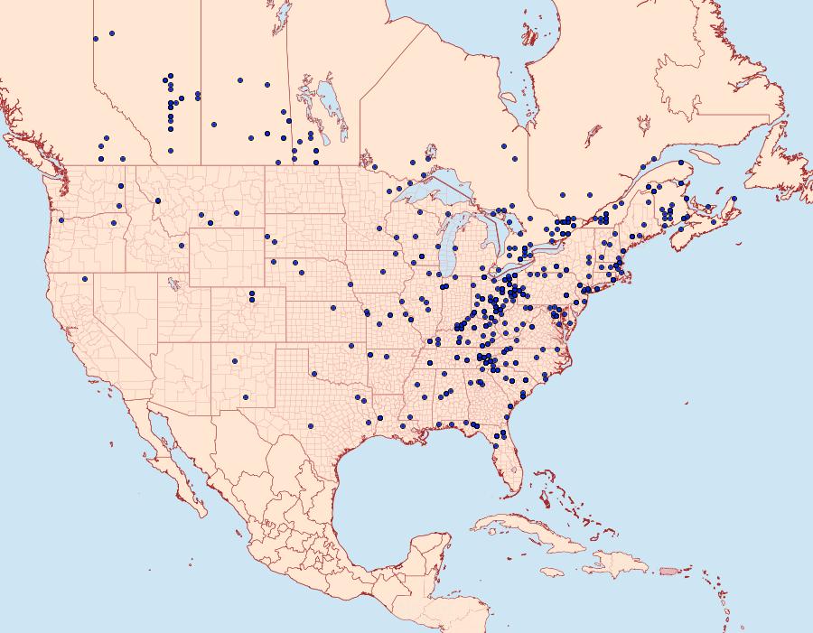 Distribution Data for Acronicta hasta