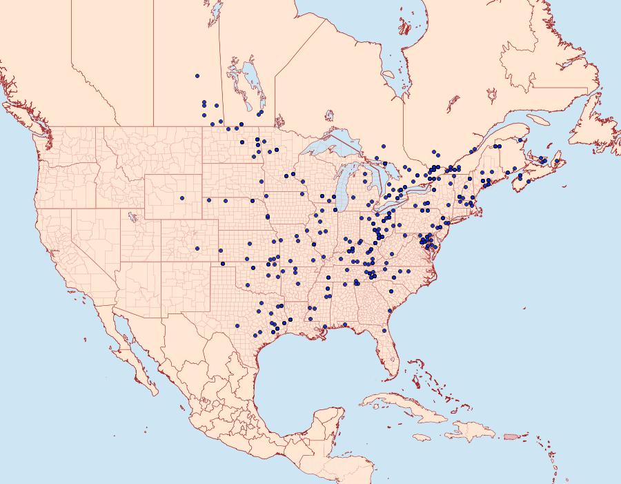 Distribution Data for Acronicta morula