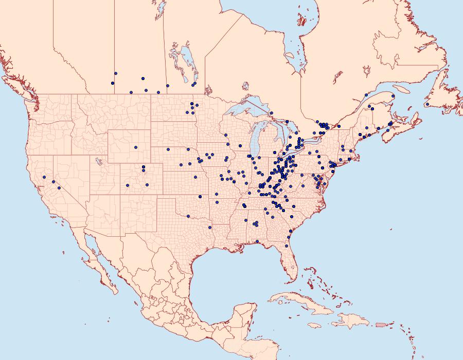 Distribution Data for Acronicta interrupta