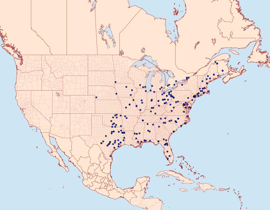 Distribution Data for Acronicta clarescens