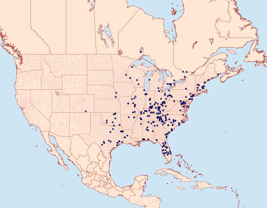 Distribution Data for Acronicta afflicta