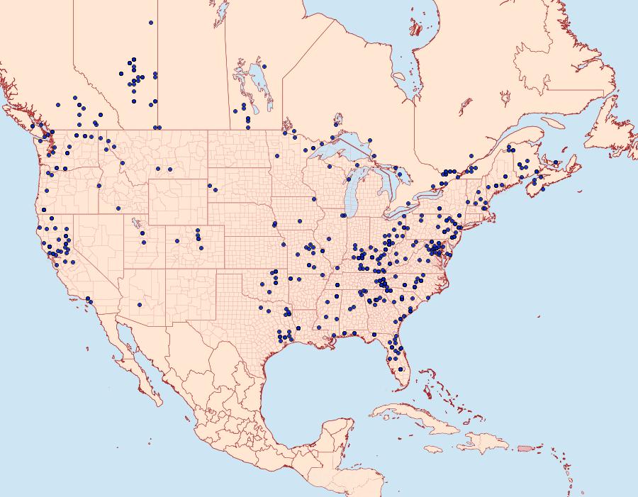 Distribution Data for Acronicta impleta