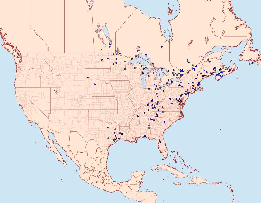 Distribution Data for Acronicta noctivaga