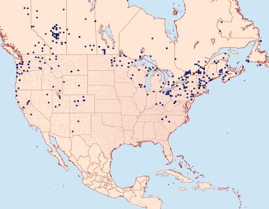 Distribution Data for Acronicta impressa