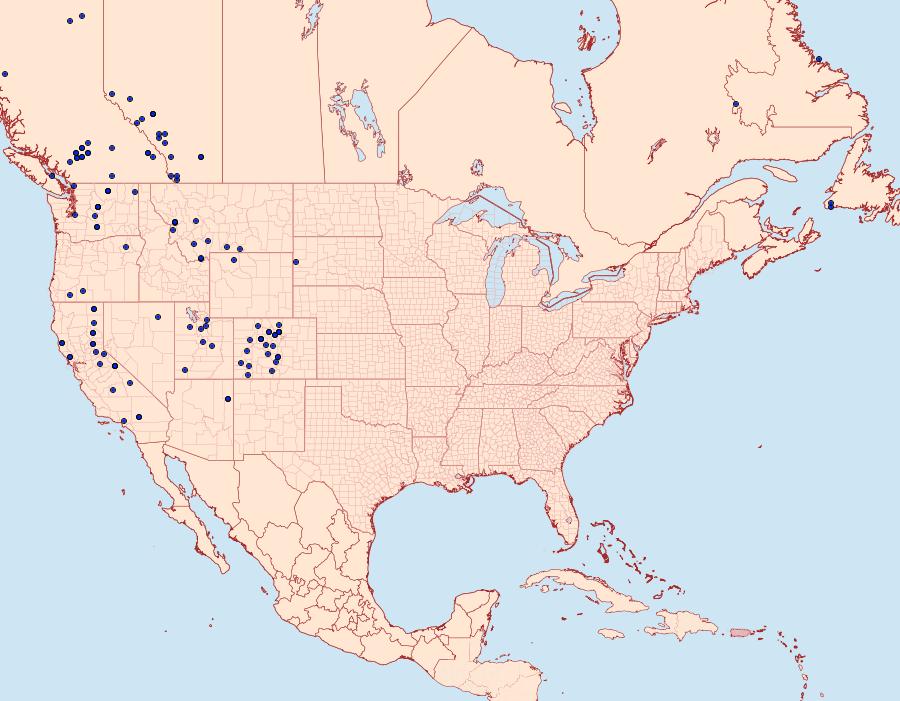 Distribution Data for Acronicta lupini