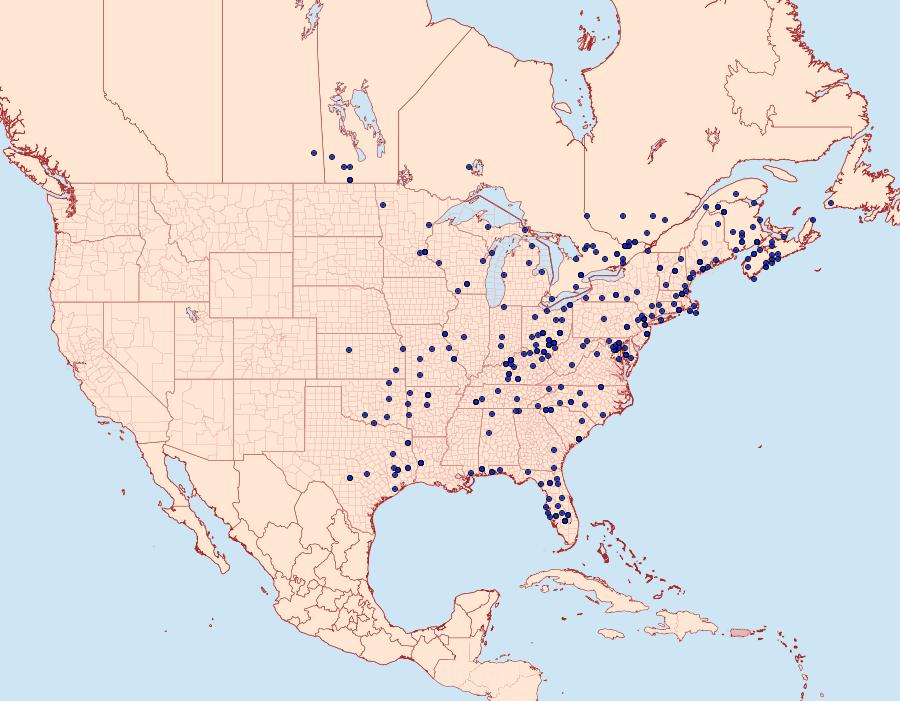 Distribution Data for Acronicta fallax