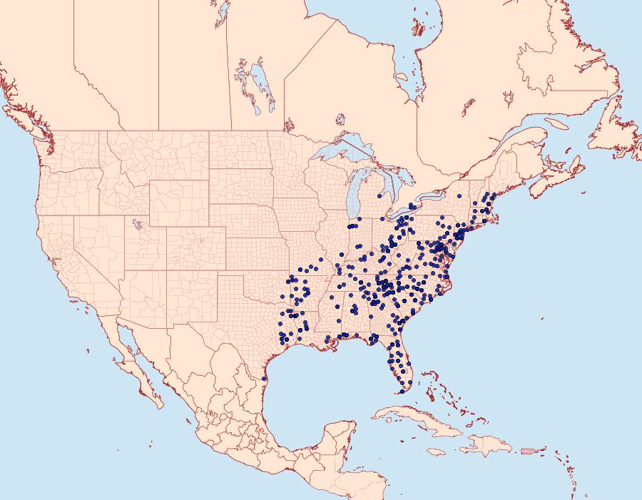 Distribution Data for Polygrammate hebraeicum