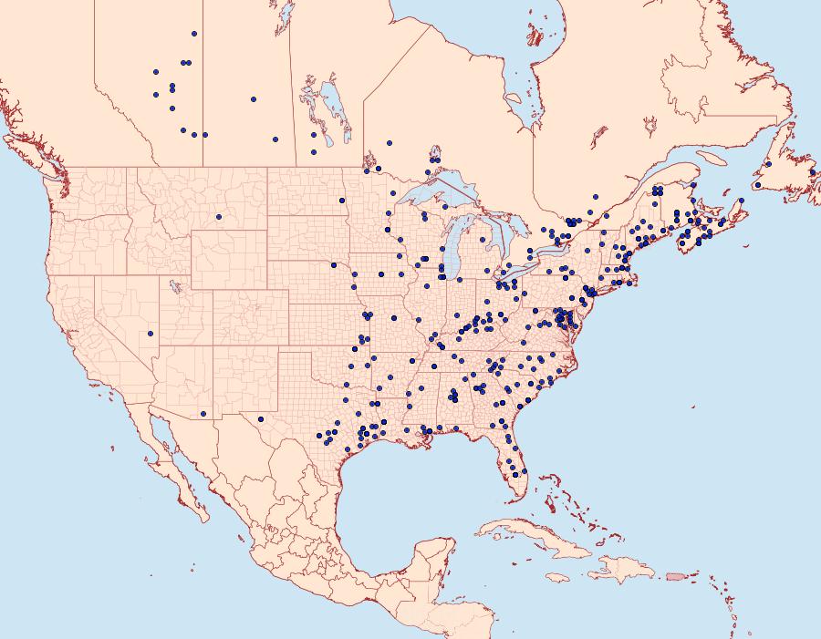 Distribution Data for Harrisimemna trisignata