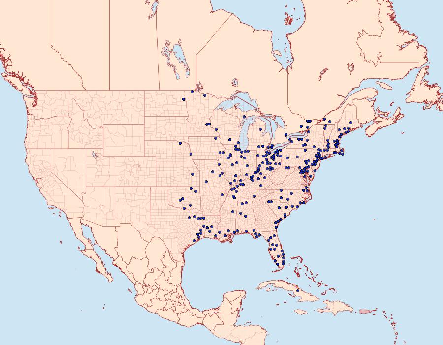 Distribution Data for Eudryas unio