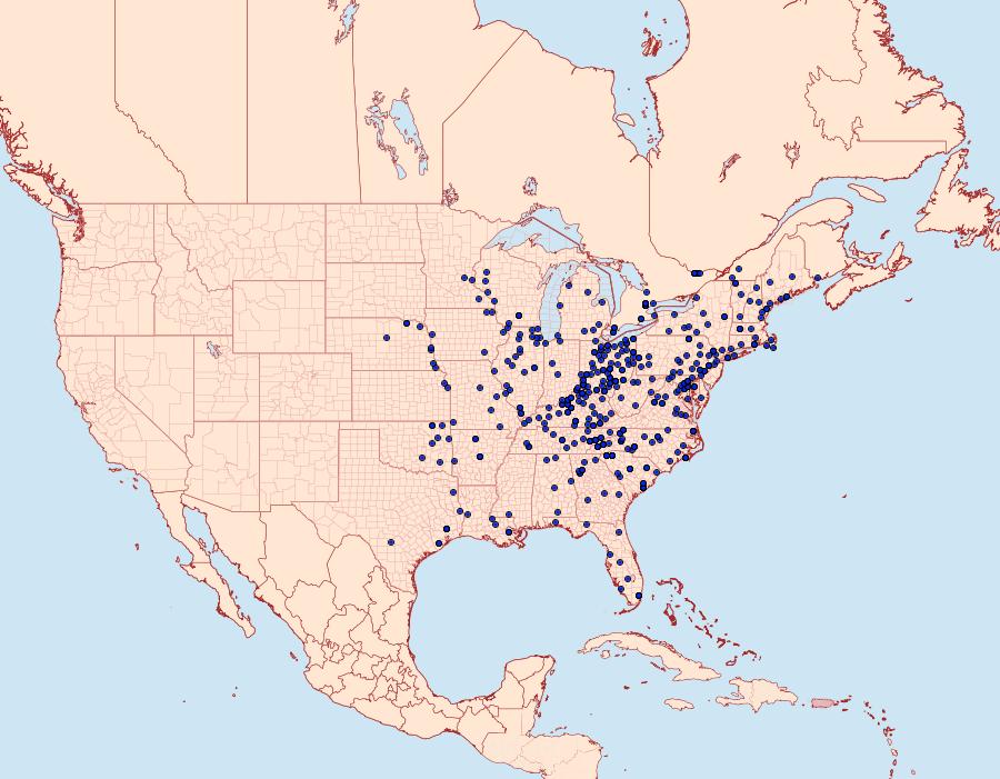 Distribution Data for Eudryas grata