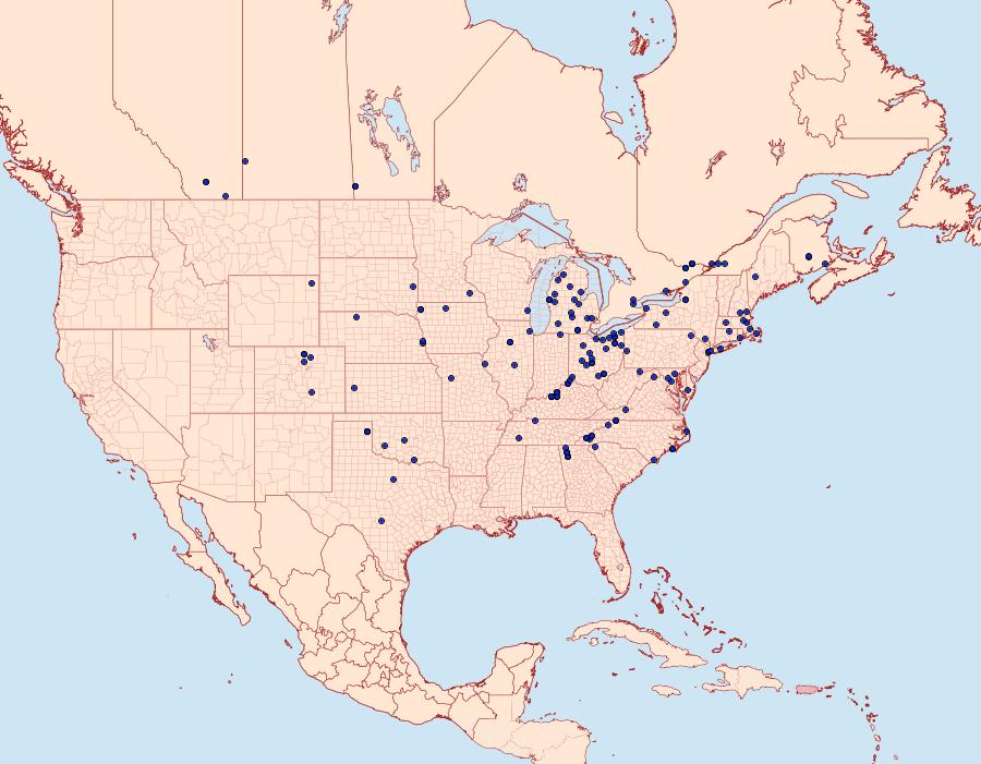 Distribution Data for Apamea cariosa