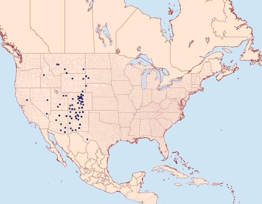 Distribution Data for Apamea atrosuffusa