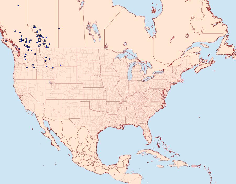 Distribution Data for Apamea sora