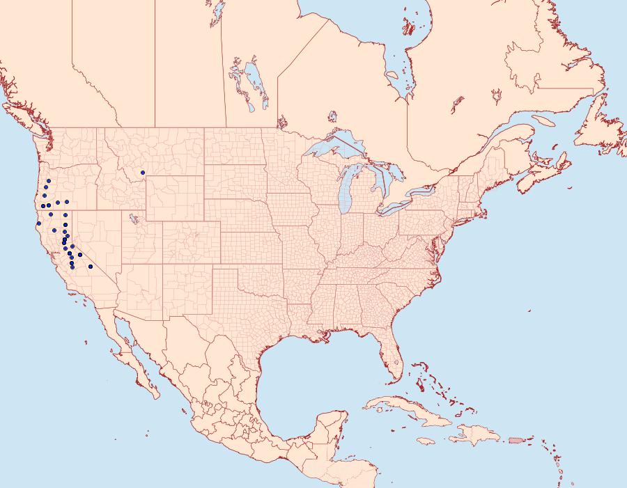 Distribution Data for Apamea tahoeensis