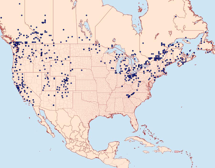 Distribution Data for Apamea amputatrix