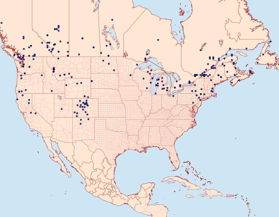 Distribution Data for Apamea alia