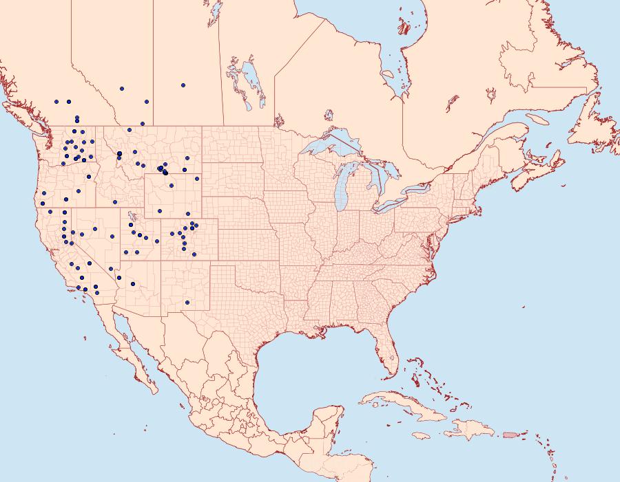 Distribution Data for Apamea spaldingi