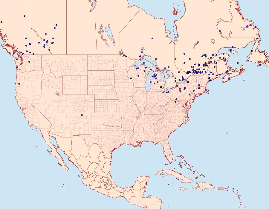 Distribution Data for Apamea impulsa