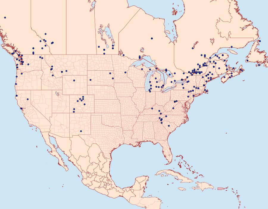 Distribution Data for Apamea indocilis