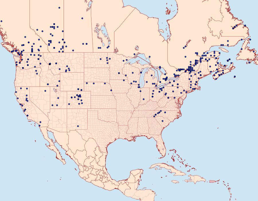 Distribution Data for Apamea sordens