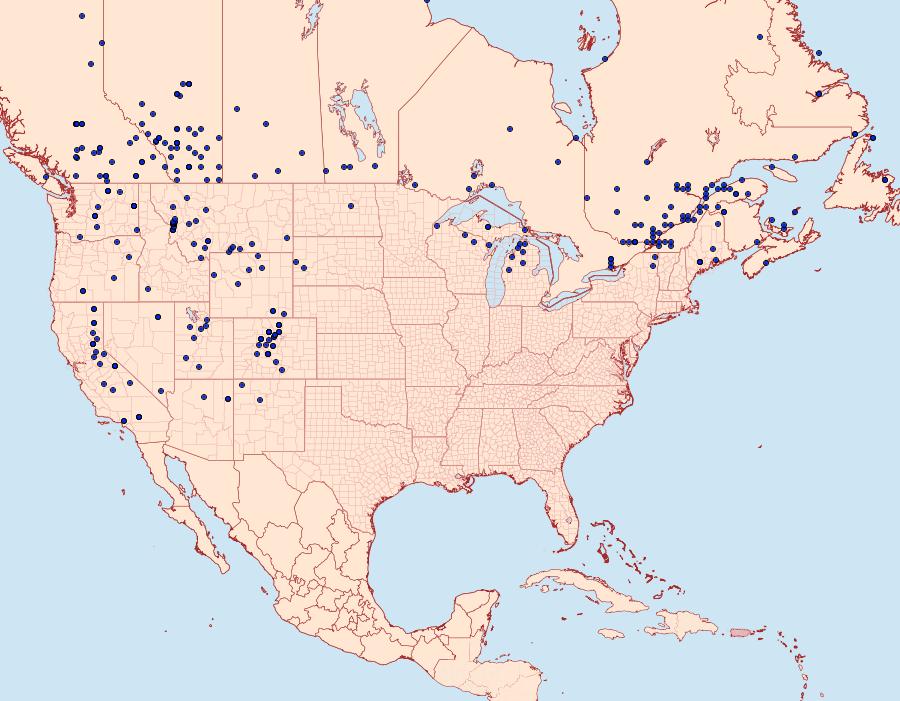 Distribution Data for Apamea scoparia