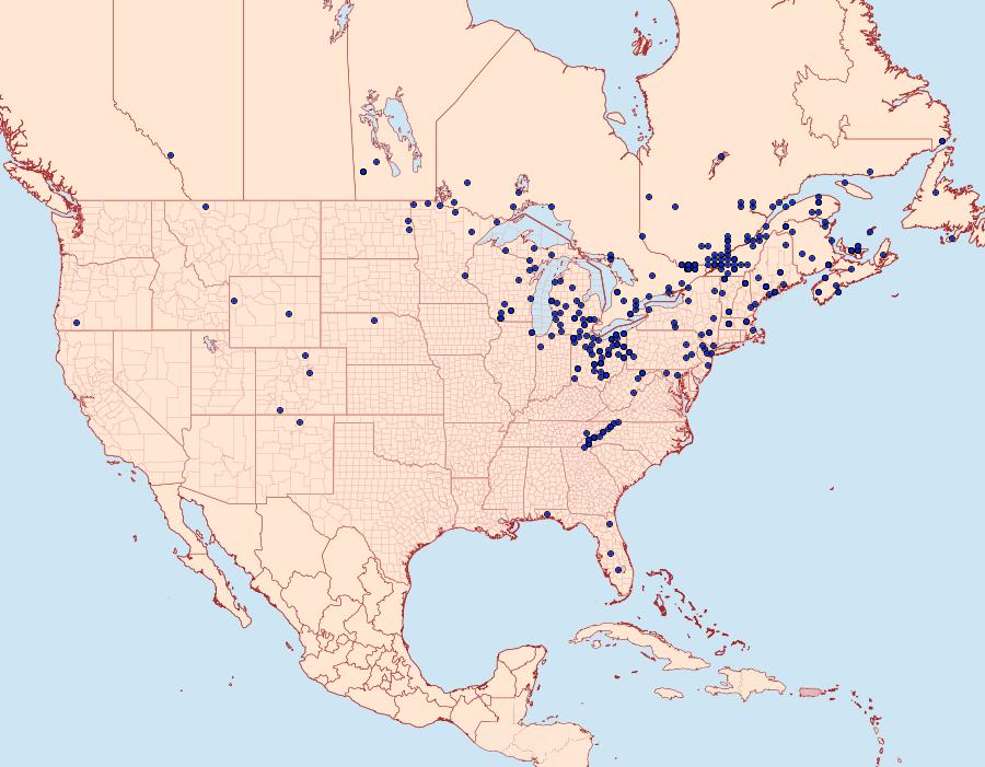 Distribution Data for Apamea dubitans