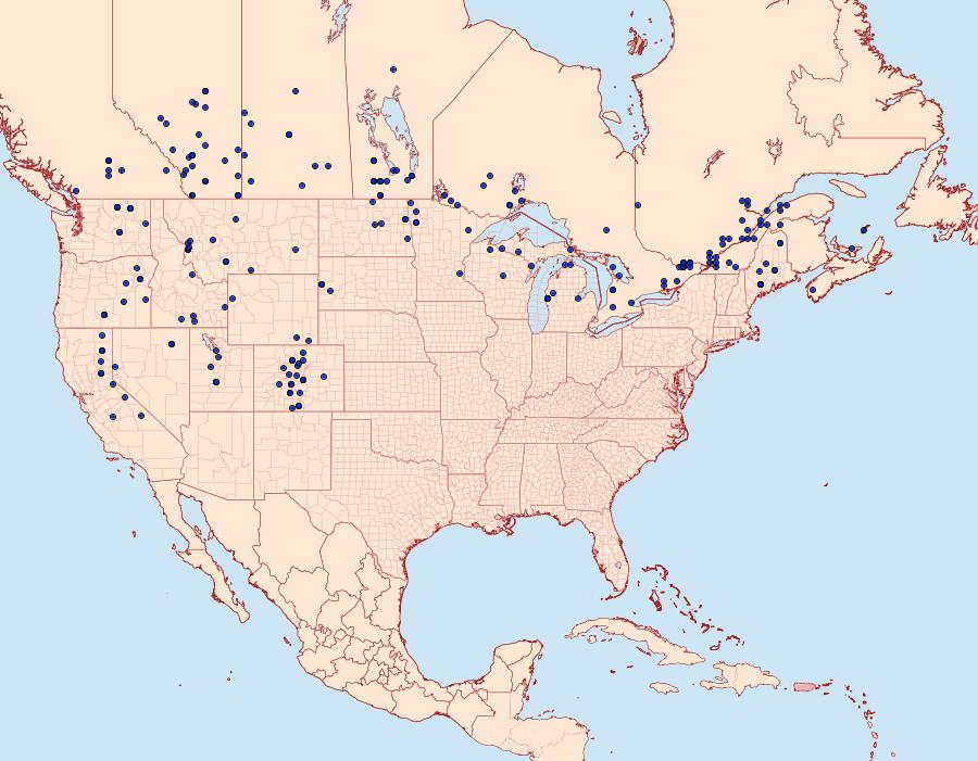 Distribution Data for Apamea niveivenosa