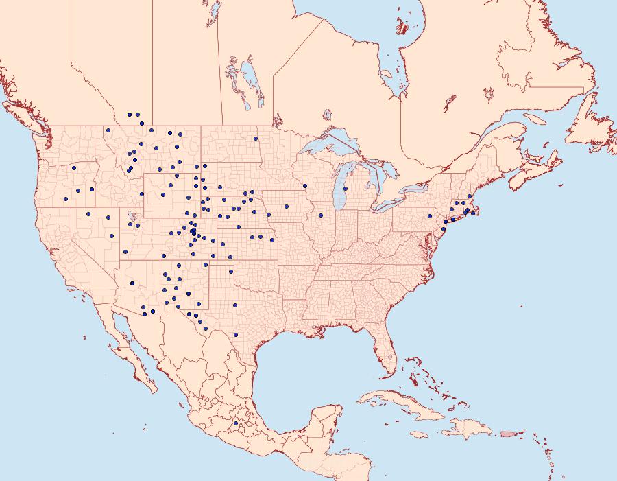 Distribution Data for Apamea burgessi