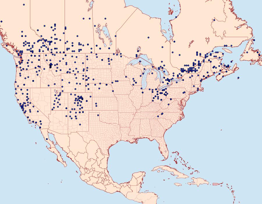 Distribution Data for Apamea devastator